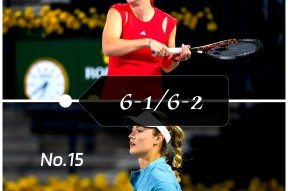 亚博体育登录入口塔图姆巅峰对决，莎拉波娃与90激战美国队分钟，赛事规则更新胜负难料！的简单介绍